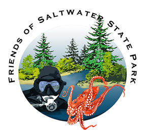Friends of Saltwater State Park