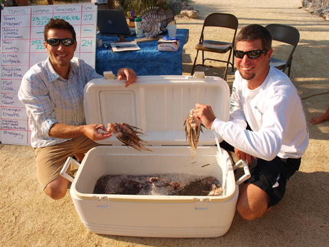 Team Strategery brings in 158 lionfish.